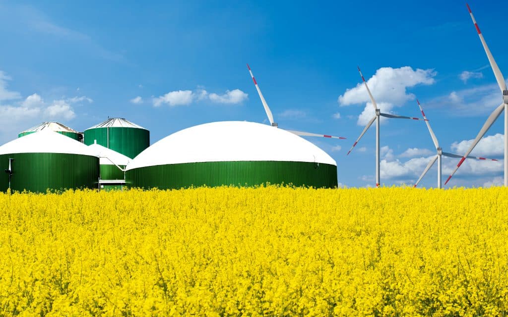 Biogas,Plant,Stands,Behind,A,Rape,Field,With,Blue,Sky