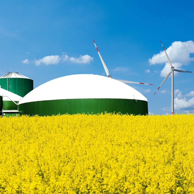Biogas,Plant,Stands,Behind,A,Rape,Field,With,Blue,Sky
