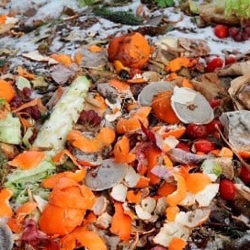 Weekly food waste collections throughout England should boost the country’s demand for anaerobic digestion